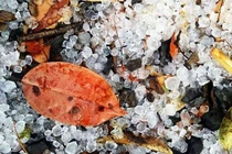 2020 Việt Nam có thể dự báo vòi rồng, mưa đá