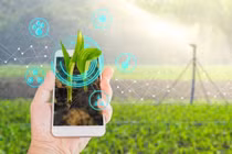 Ứng dụng quản lý thúc đẩy chuyển đổi số trong nông nghiệp