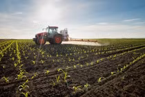 Phân bón sinh học từ vi khuẩn lam, giải pháp khắc phục suy thoái, bạc màu đất