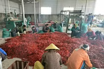 Trung Quốc siết tiểu ngạch, hàng Việt tuột dốc