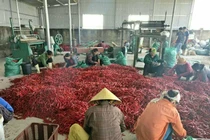 Trung Quốc siết tiểu ngạch, hàng Việt tuột dốc