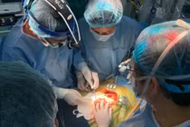 Ghép gan cho hai bệnh nhi dưới 10kg