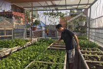 Sử dụng rác hữu cơ làm phân vi sinh