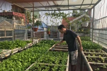 Sử dụng rác hữu cơ làm phân vi sinh