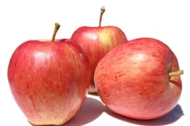 Táo ta hay táo tây bổ?