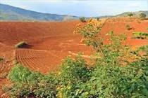 Phân loại đất theo mục đích sử dụng