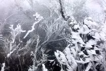 Băng tuyết trắng khu vực núi cao, Hà Nội rét 8 độ