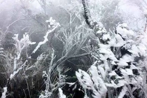 Băng tuyết trắng khu vực núi cao, Hà Nội rét 8 độ