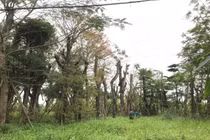 Hà Nội: Doanh nghiệp tham gia đấu giá quyền sử dụng đất phải đủ năng lực tài chính