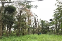 Hà Nội: Doanh nghiệp tham gia đấu giá quyền sử dụng đất phải đủ năng lực tài chính