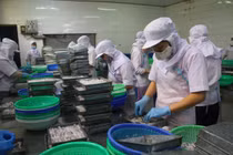 Lấy ý kiến về lương tối thiểu vùng tăng từ 150.000 - 240.000 đồng/tháng