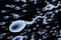 Độ tuổi làm bố để có những đứa con khỏe mạnh 