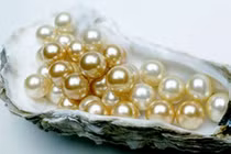 Ngọc trai nuôi giả thiên nhiên