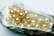 Ngọc trai nuôi giả thiên nhiên