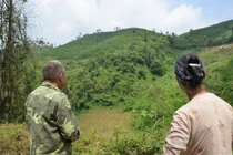 Bất cập chi trả tiền dịch vụ môi trường rừng