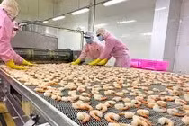 Tiêu chí của thực phẩm xuất khẩu vào EU