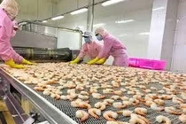 Tiêu chí của thực phẩm xuất khẩu vào EU