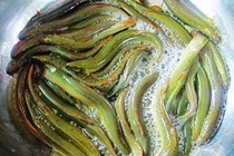 Món ăn bồi bổ phục hồi viêm gan mạn tính