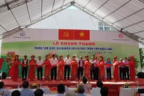 Công nhận sâm Ngọc Linh là quốc bảo của Việt Nam