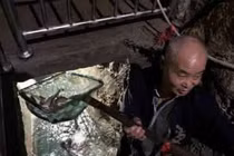 Khe suối chứa đầy cá quý ngay trong nhà