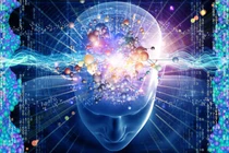 Tác dụng của DHA với người trưởng thành