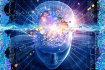 Tác dụng của DHA với người trưởng thành