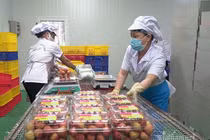 Chưa từng có: 4,6 triệu người truy cập, ngày chốt 37.000 đơn vải thiều