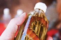 Tự chế cao rết chữa mụn nhọt