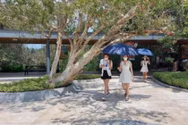 Khách du lịch trở lại Bà Rịa- Vũng Tàu trong thời gian thí điểm mở cửa trở lại.