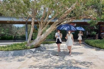 Khách du lịch trở lại Bà Rịa- Vũng Tàu trong thời gian thí điểm mở cửa trở lại.