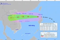 Tin bão khẩn cấp số 8