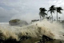 Ứng phó bão số 8: 7 tỉnh cấm biển, lên kế hoạch sơ tán hơn 65.000 hộ dân