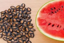 Tạo dầu từ hạt dưa hấu