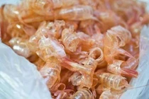 Nhật đầu tư nhà máy chế biến vỏ tôm tại Cần Thơ