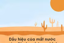 Đừng chết chỉ vì lười uống nước