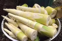 Ngộ độc vì ăn măng tươi không ngâm luộc kỹ