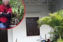 Nữ nhân viên ngân hàng "vỡ nợ" gần 200 tỷ: Có 8 người cho vay, người nhiều nhất 130 tỷ