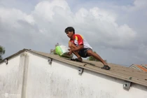 Người miền Trung chằng chống nhà cửa tránh bão Molave