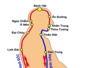 Rối loạn mạch nhâm dễ vô sinh