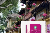 Thượng tọa Thích Đức Thiện: Cúng dường online là thử nghiệm