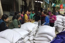 Đã xuất cấp 52.454 tấn gạo hỗ trợ người dân