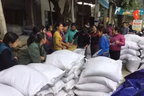 Đã xuất cấp 52.454 tấn gạo hỗ trợ người dân