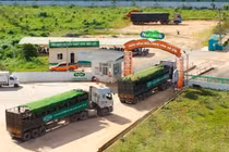 Trang trại bò sữa NutiMilk.