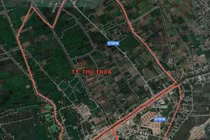 Đầu tư xây dựng hạ tầng KCN thị trấn Thủ Thừa quy mô 188 ha