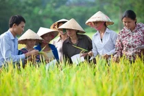 Ủng hộ Tuyên bố quốc tế về Ứng dụng CNSH chính xác trong Nông nghiệp