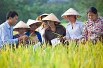 Ủng hộ Tuyên bố quốc tế về Ứng dụng CNSH chính xác trong Nông nghiệp