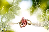 Các đoạn rối trong chuỗi ADN có thể giúp dự đoán sự đột biến