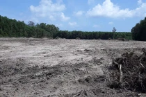 Đất trống được khoác "áo" Dự án Khu dân cư Phước Long Thọ như thế nào?