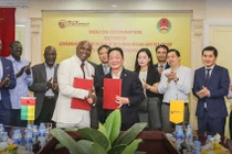 T&T Group thắng thầu thu mua điều thô tại Tanzania: Khai phá tiềm năng to lớn từ thị trường châu Phi