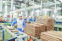 Còn nhiều khó khăn trong chống lẩn tránh phòng vệ thương mại